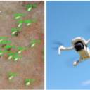 Accepted Article in Discover Internet of Things