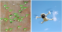 A self-organizing cyber physical system for sustainable agriculture