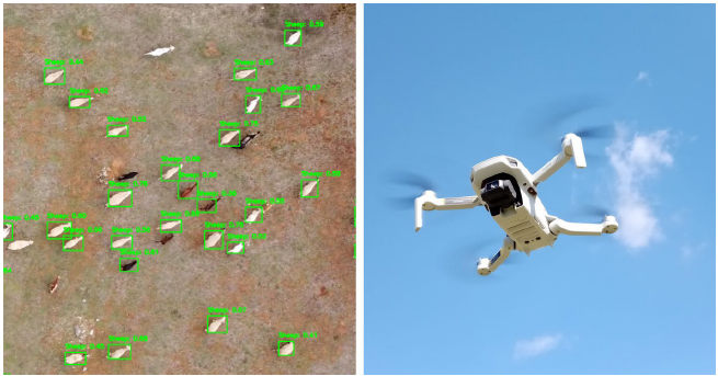 A self-organizing cyber physical system for sustainable agriculture